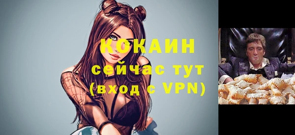 крисы Лагань