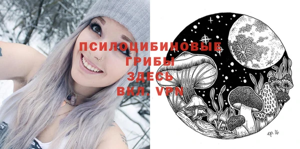 ГАЛЛЮЦИНОГЕННЫЕ ГРИБЫ Горно-Алтайск