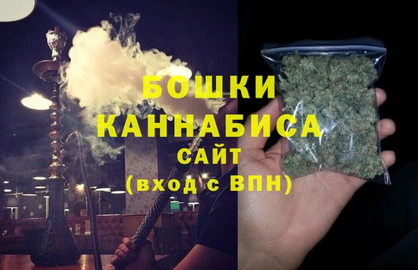 дмт Ладушкин