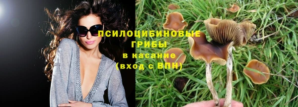 дмт Ладушкин