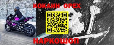 гидра Кандалакша