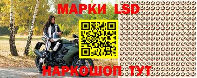 гидра Кандалакша