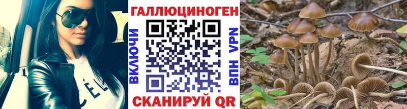 Псилоцибиновые грибы GOLDEN TEACHER  даркнет официальный сайт  Кумертау 