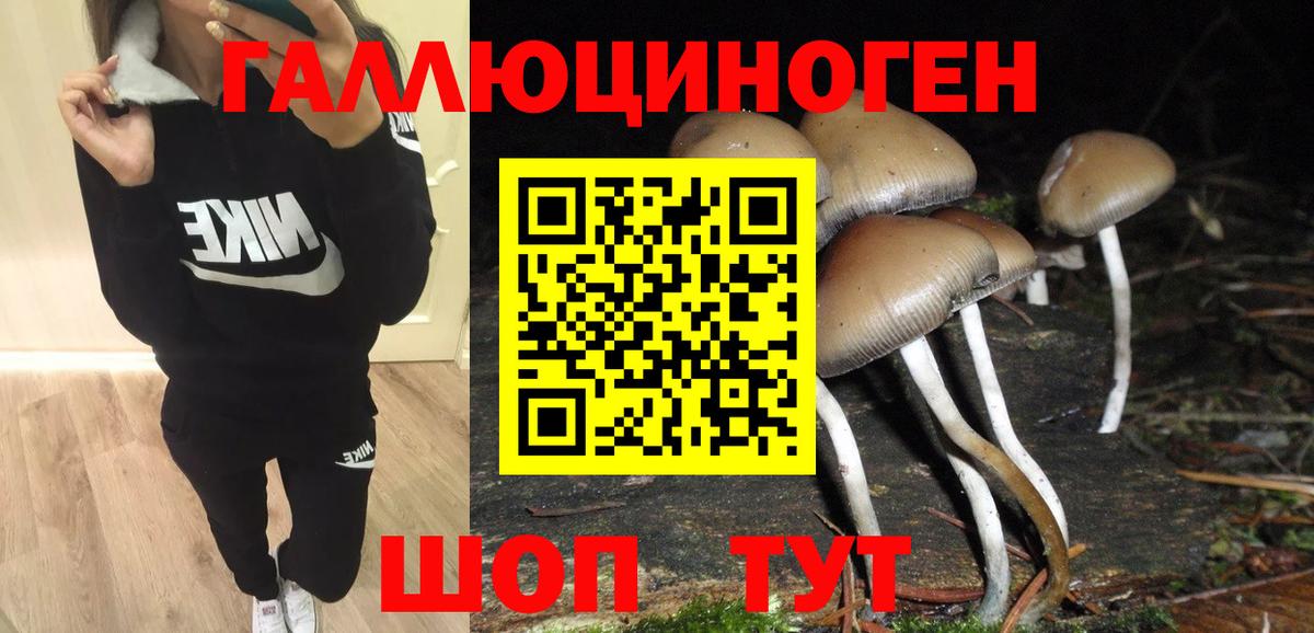 Псилоцибиновые грибы Psilocybine cubensis Кумертау